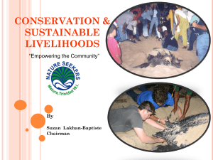 Turtle Conservation Programme