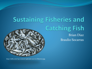 fisheries powerpoint - Mater Academy Charter Middle/ High