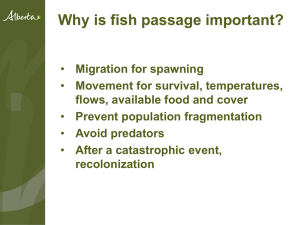 Why is fish passage important? - Alberta Ministry of Transportation