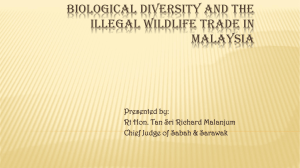 biological diversity and the illegal wildlife trade in malaysia