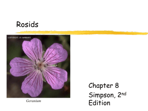 Ch 8 Rosids