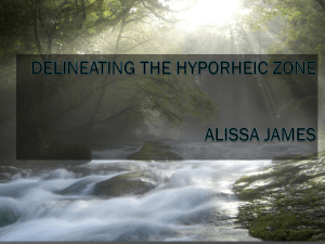 Delineating the Hyporheic Zone