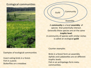 Ecological communities