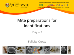 Mite preparations for identifications