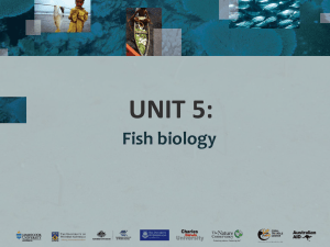 Unit 5 - Marine & Coastal Environmental Resource Management