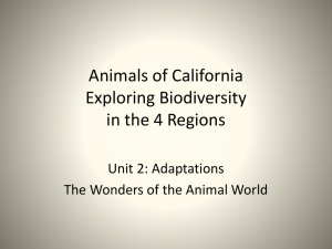 4 Regions of California