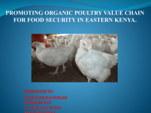 promoting organic poultry value chain for food security in eastern