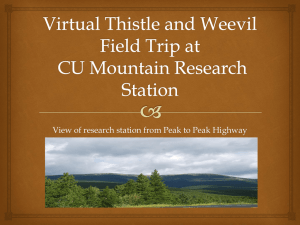 Virtual field trip 2 - Niwot Ridge LTER
