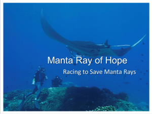 – Manta Ray of Hope PowerPoint presentation