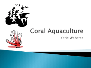 Aquaculture Presentation_WebsterK