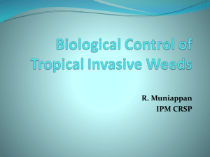 Biocontrol-of-Tropical-weeds