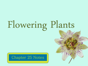 Flowering Plants - Herscher CUSD #2