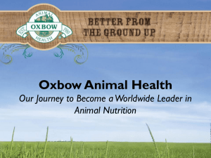 Oxbow Animal Health Our Journey to Become a