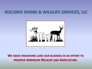 Kocurek Farms & Wildlife Services, LLC