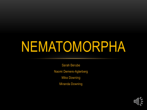 Nematomorpha - Dr. Bondrup