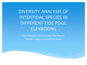 diversity analysis of intertidal species in different tide pool elevations