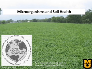 Microorganisms and Soil Health