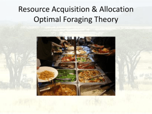 Resource Acquisition & Allocation Optimal Foraging Theory
