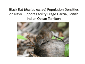 Black Rat (Rattus rattus) Population Densities on Navy Support