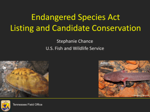 Endangered Species Act Listing and Candidate Conservation