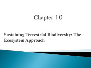Terrestrial Biodiversity Powerpoint