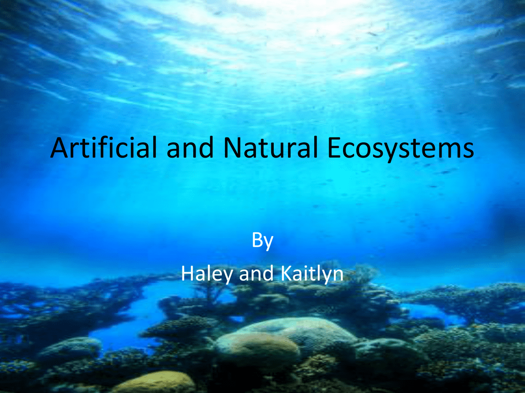 Differentiate Between Natural And Artificial Ecosystem