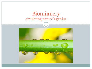 Biomimicry emulating nature*s genius