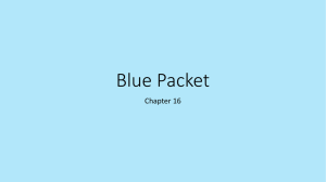 Blue Packet