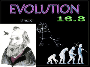 16.3 Evolution - MsPittsBiologySpace