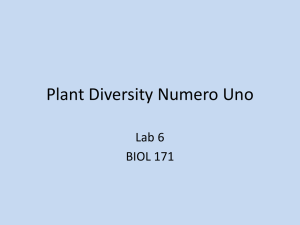 Lab-6-Plant-Diversity-1