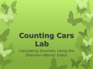 Counting Cars Lab