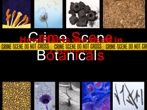 Crime Scene Botanicals