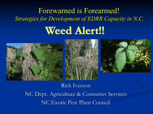 EDRR Categories - NC Invasive Plant Council
