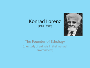Konrad Lorenz (1903 * 1989)