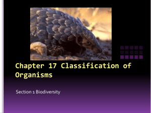 Classification of Animals (classificationsection1)