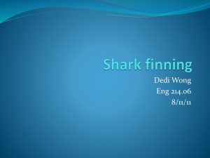Dedi Wong – Shark Finning