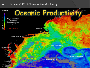Earth Science: 15.3 Oceanic Productivity