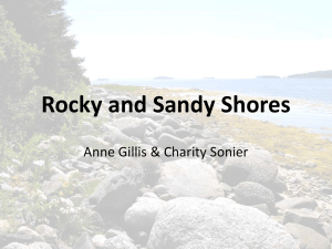 Rocky and Sandy Shores