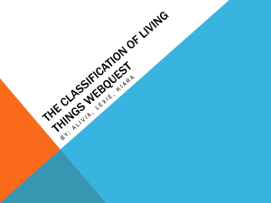 The Classification of Living Things Webquest