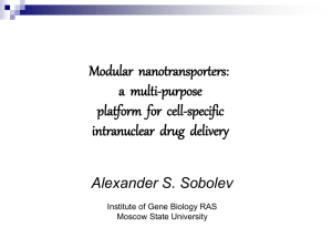 Modular Nanotransporters: A Multi-purpose Platform for Cell