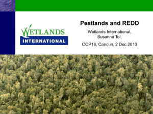 Peatlands and REDD - Wetlands International