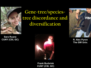 The impact of gene-tree/species-tree discordance on estimates of