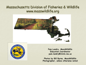 Wildlife in Massachusetts - Massachusetts Envirothon