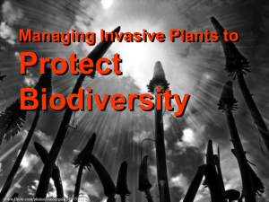 Using an Ecological Approach to Managing Invasive Plants in the