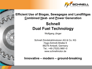 Schnell dual fuel technology