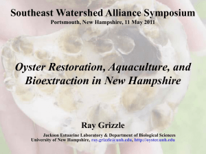 Oyster Restoration, Aquaculture, and Bioextraction in New Hampshire