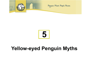 PowerPoint - Yellow-Eyed Penguin Trust