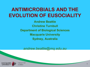 antimicrobials and the evolution of eusociality