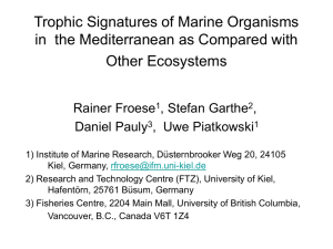 Trophic Signature of Marine Organisms in the Mediterranean as