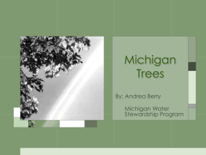 Michigan Trees - Michigan Water Stewardship Program